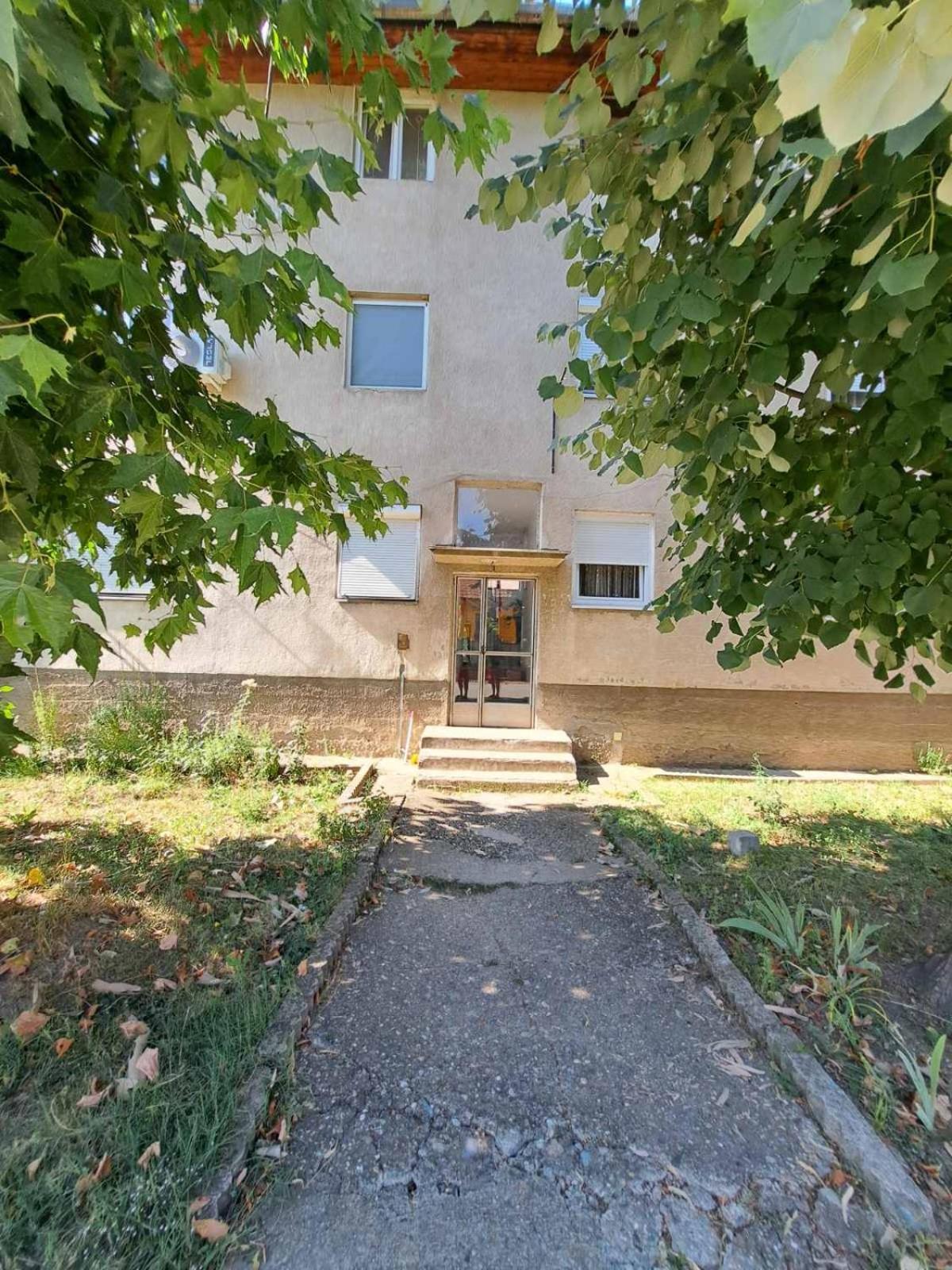 Apartament Apartman Mamut Donji Milanovac Zewnętrze zdjęcie